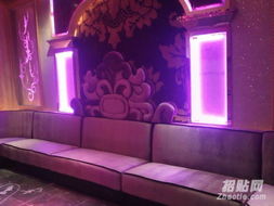 從定制椅套到網(wǎng)吧專(zhuān)用 北京椅套沙發(fā)套全面解析